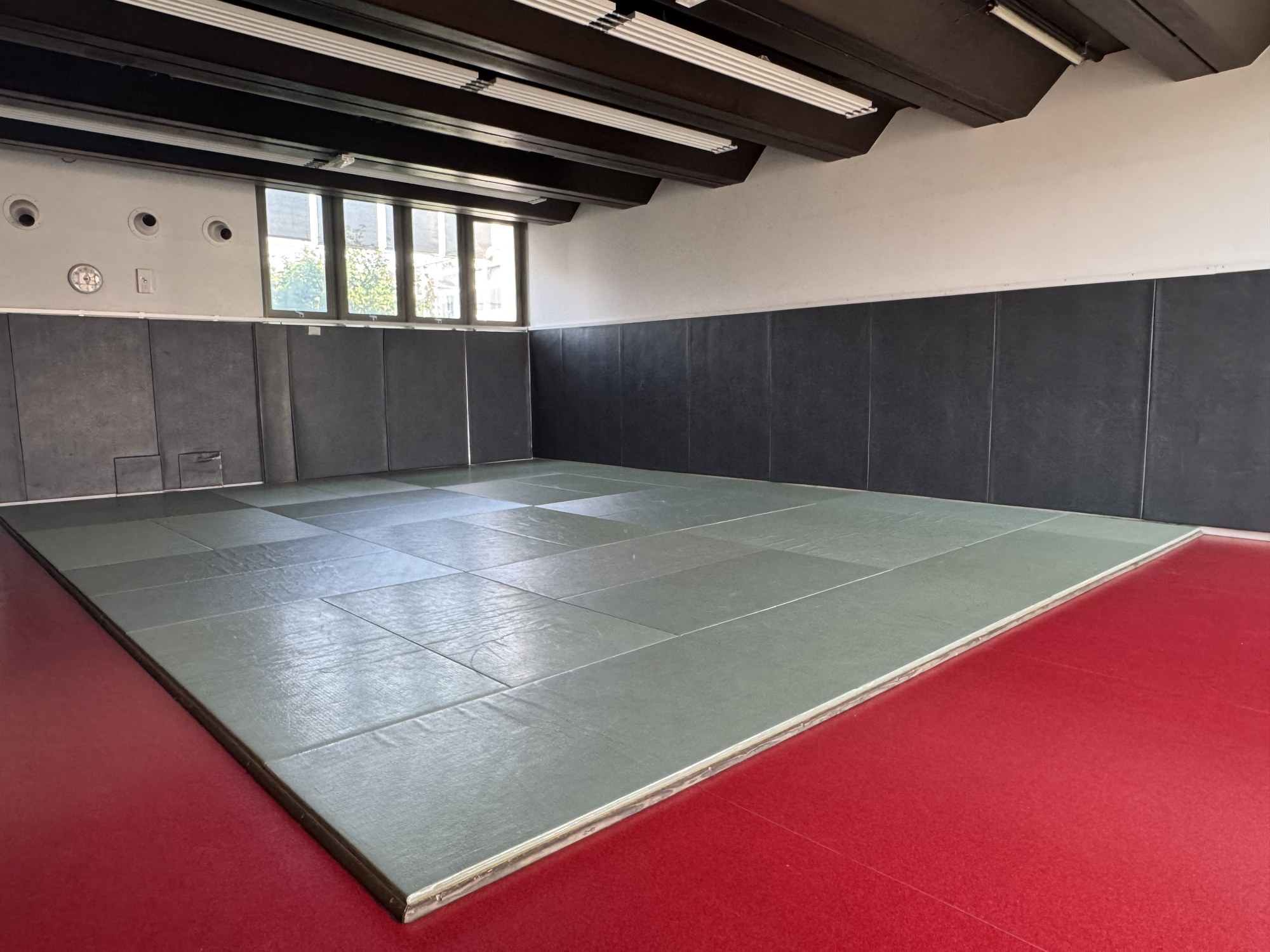 Vue large du dojo : grande surface de tatami avec protection murale